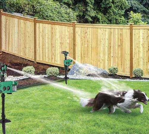 vodoodbojna za ptice, divje živali